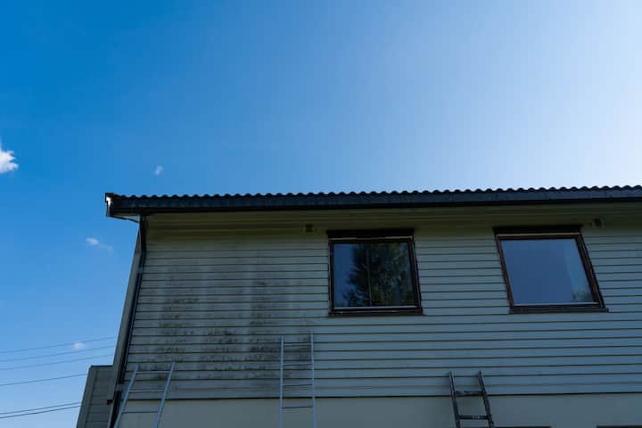 exterior mold removal services Rockford